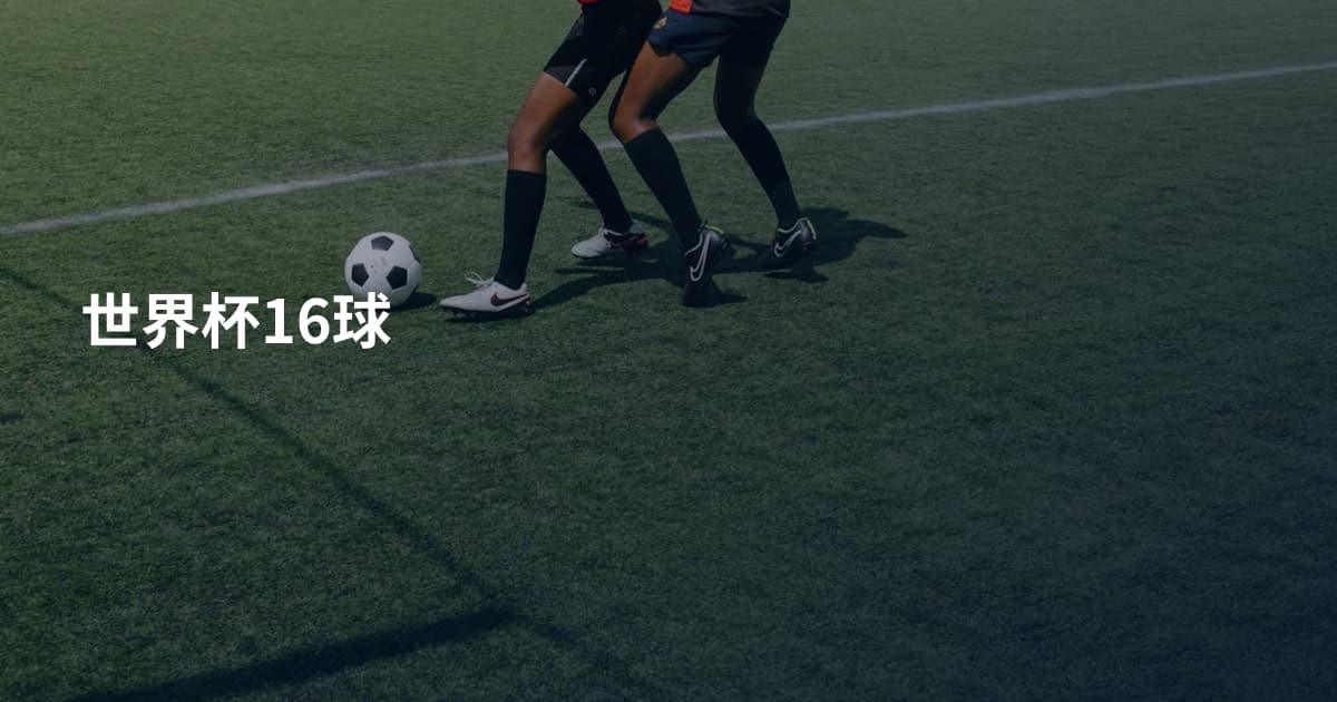世界杯16球