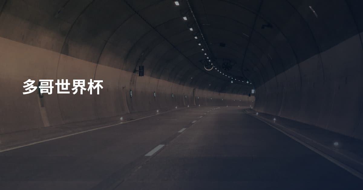 多哥世界杯