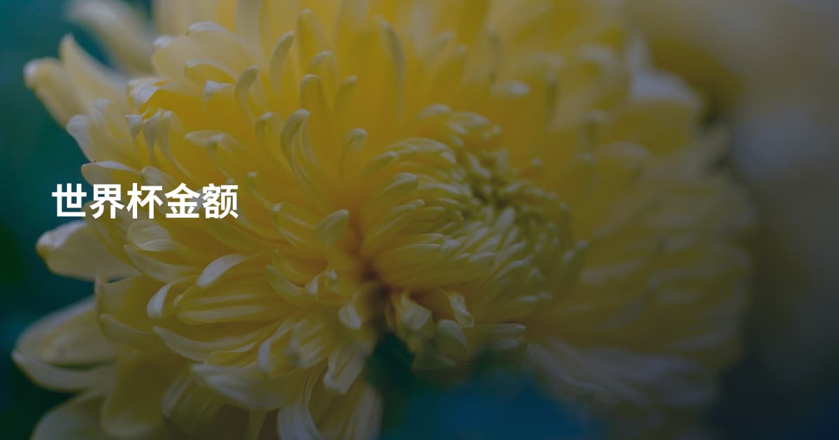 世界杯金额