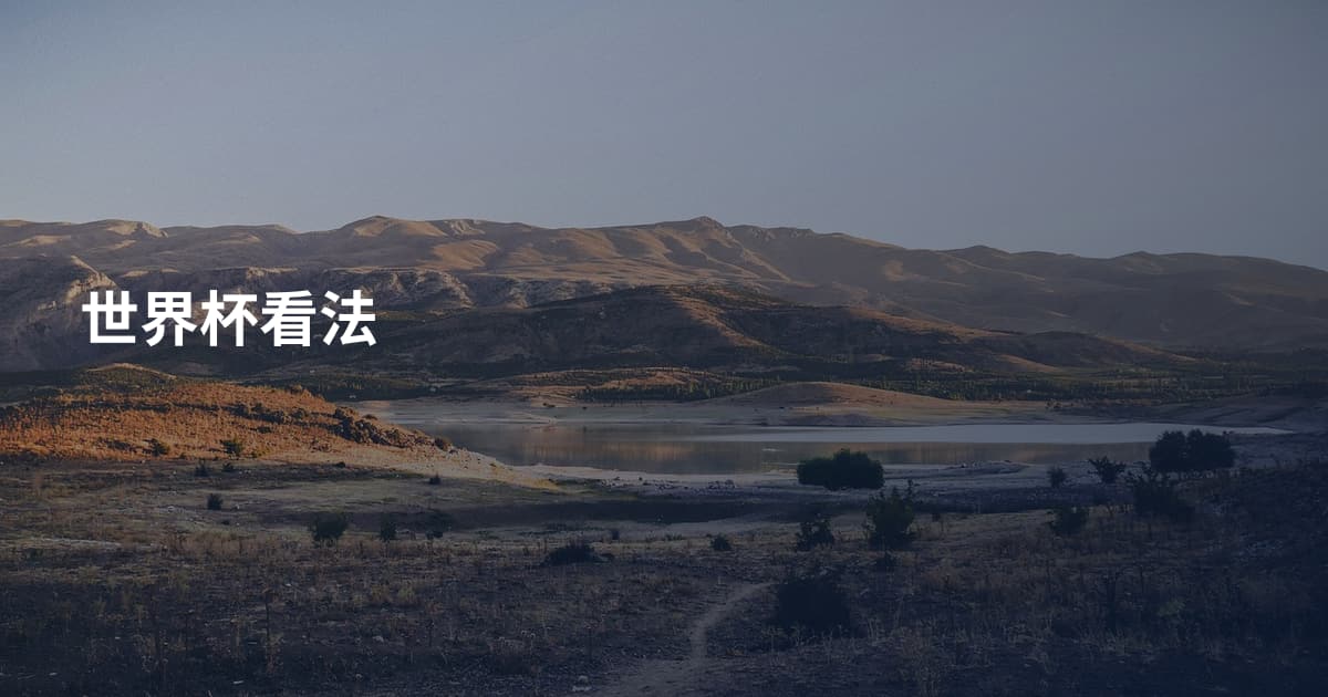 世界杯看法