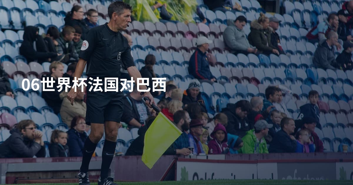 06世界杯法国对巴西