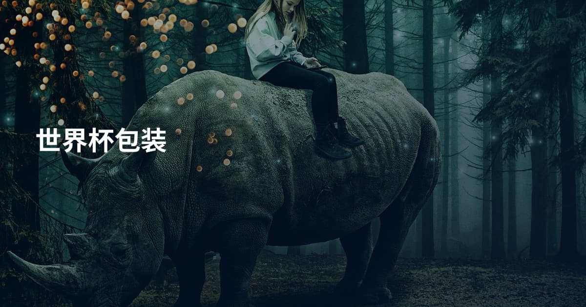 世界杯包装