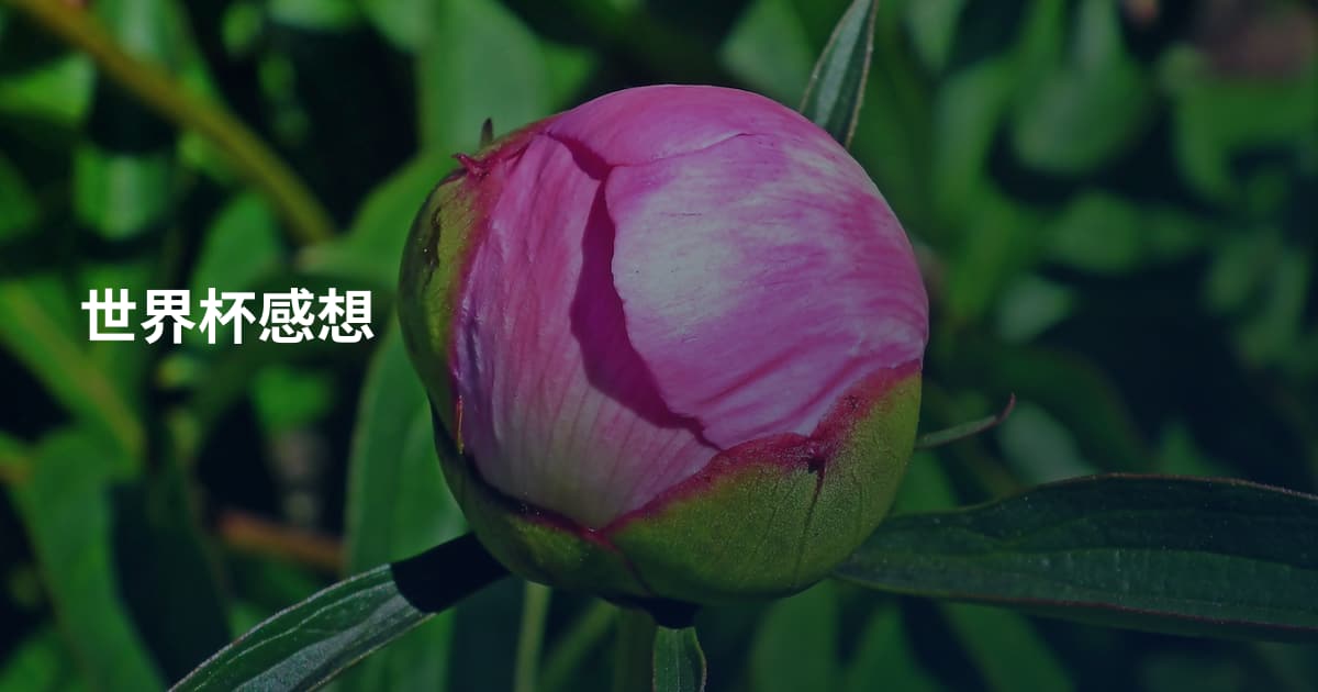 世界杯感想