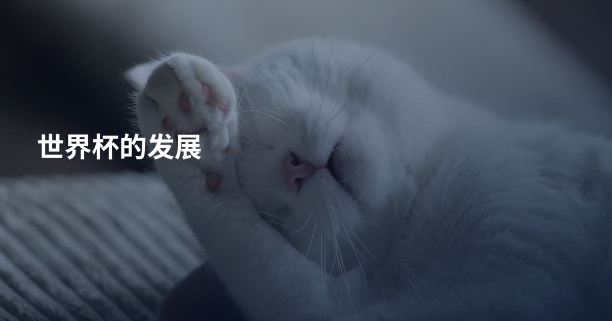 世界杯的发展
