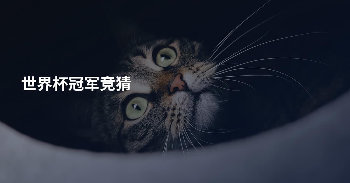 世界杯冠军竞猜