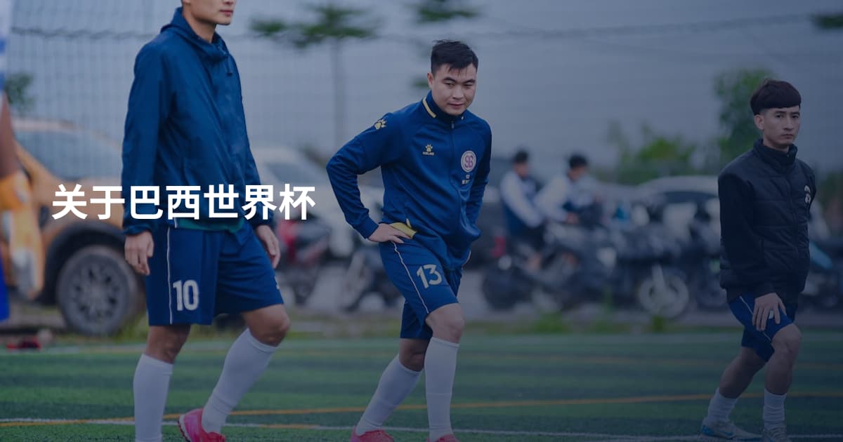 关于巴西世界杯