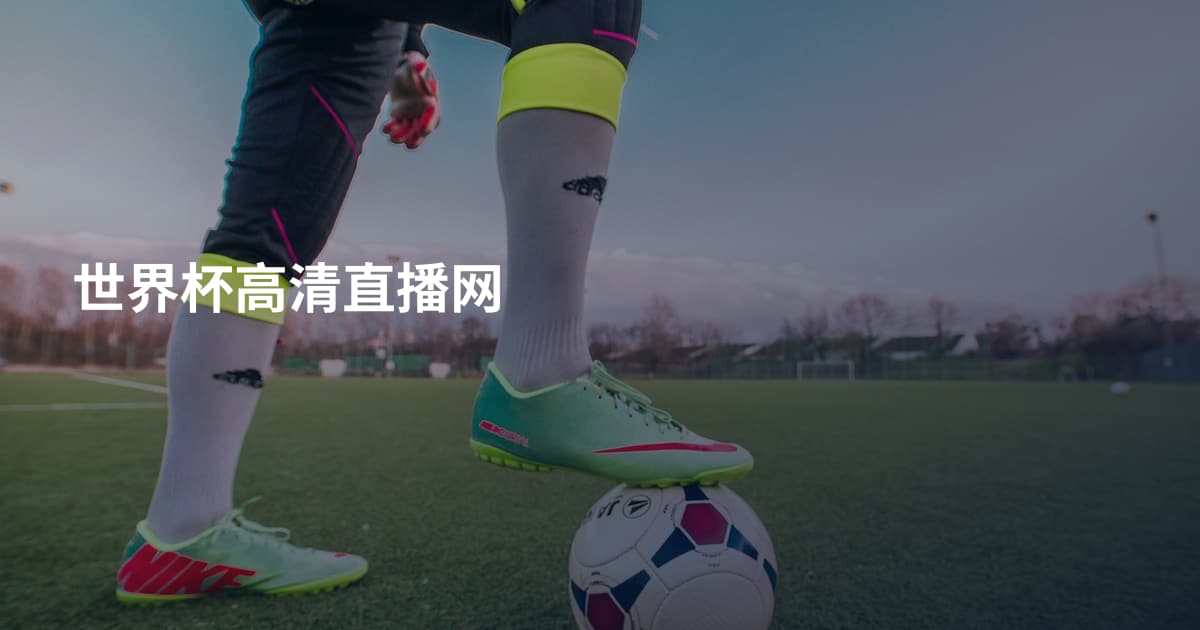 世界杯高清直播网