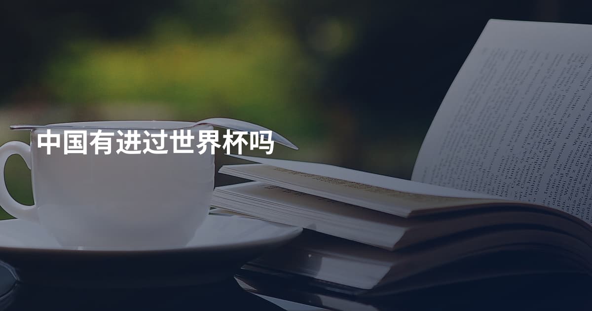 中国有进过世界杯吗