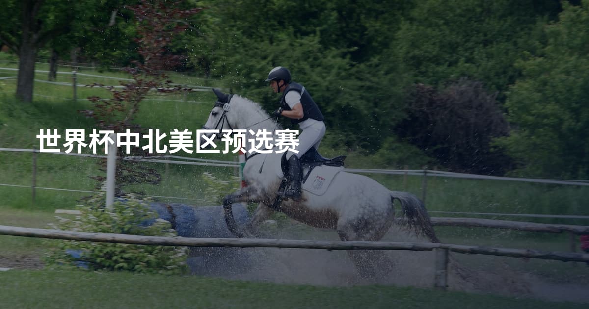世界杯中北美区预选赛