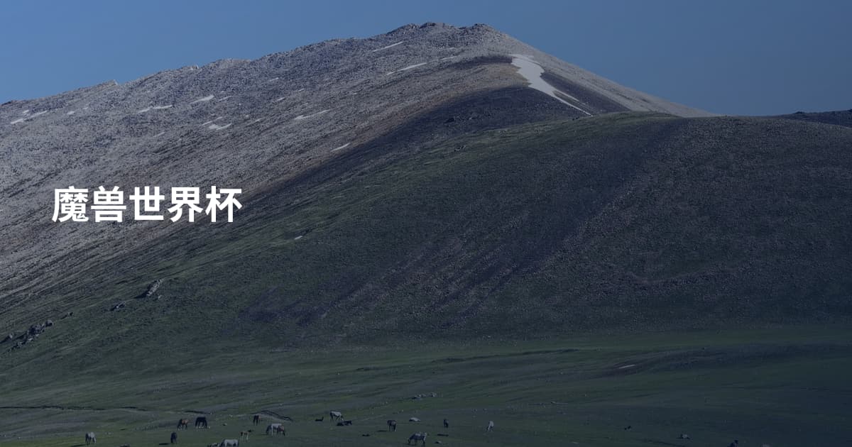 魔兽世界杯