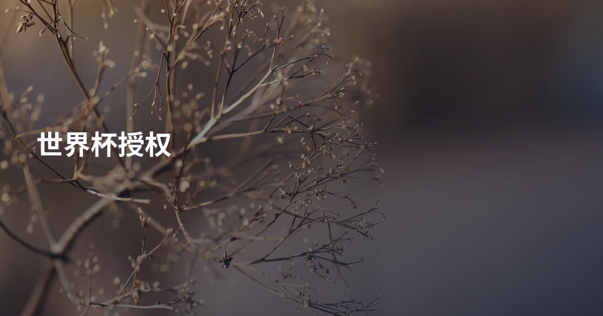 世界杯授权