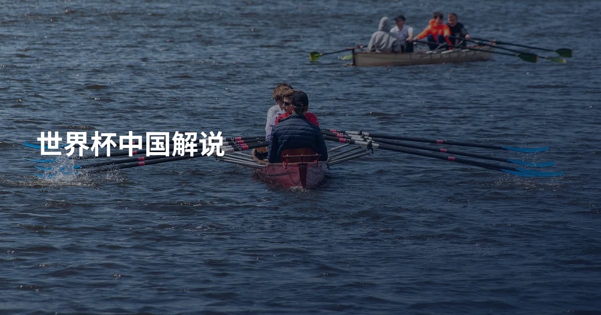 世界杯中国解说