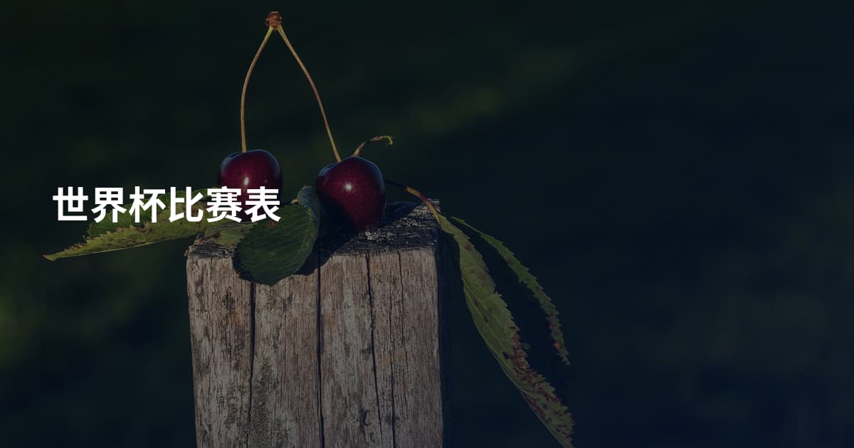 世界杯比赛表