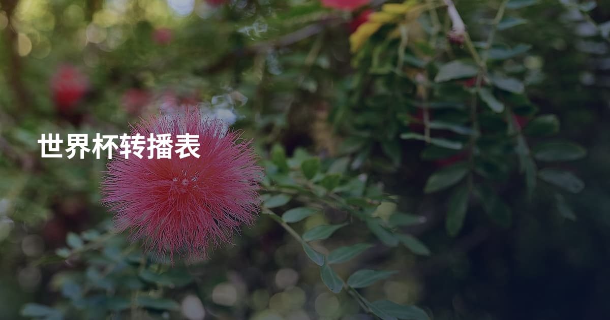 世界杯转播表