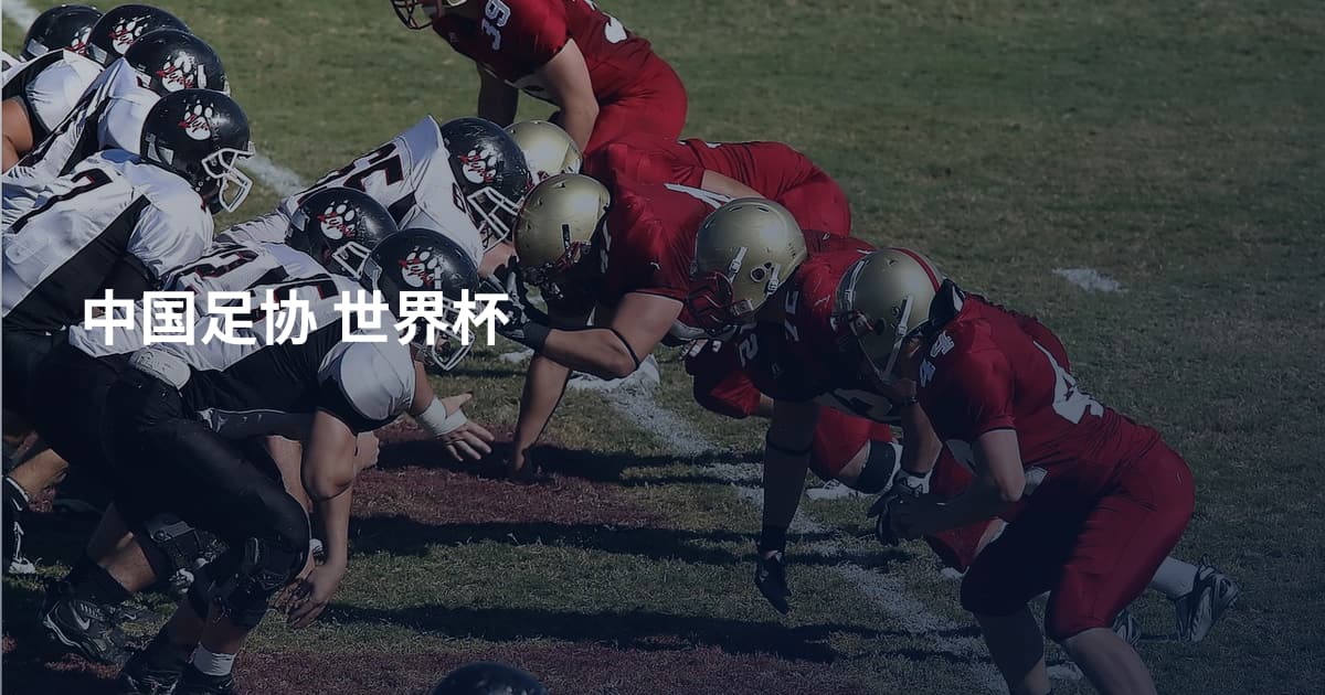 中国足协 世界杯