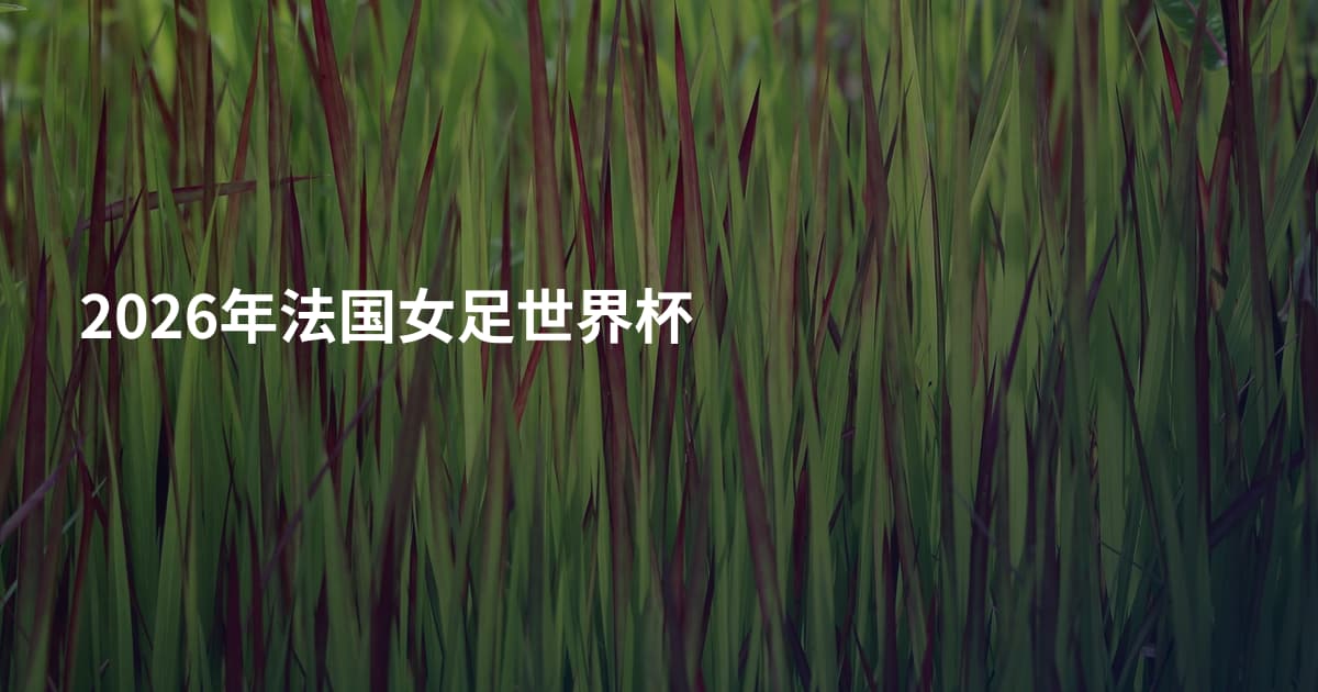 2026年法国女足世界杯