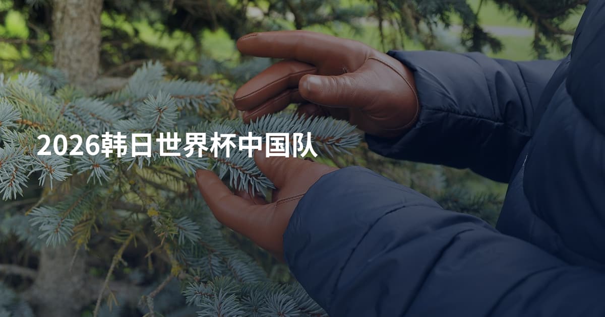 2026韩日世界杯中国队
