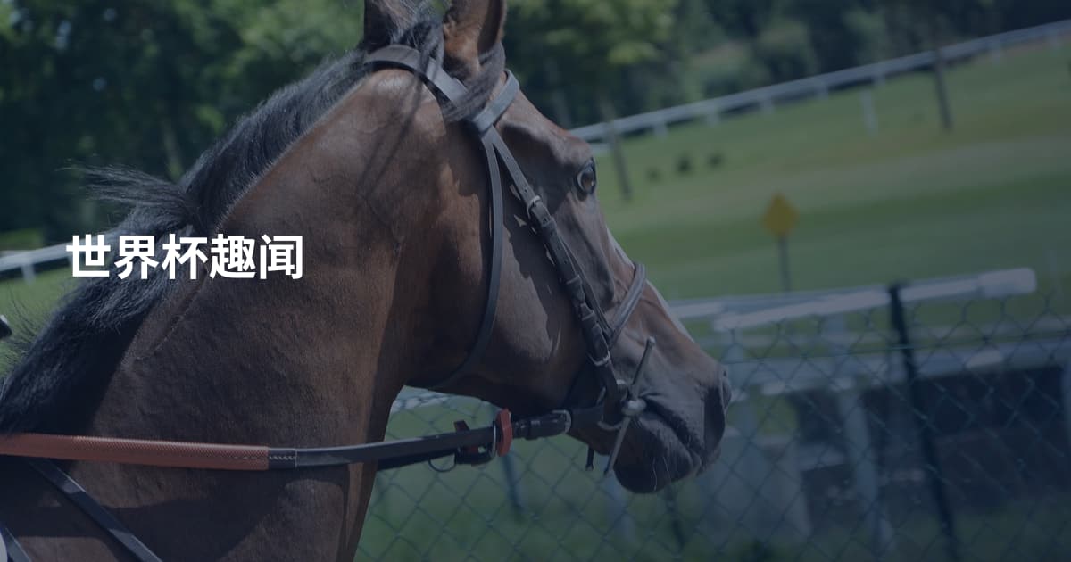 世界杯趣闻