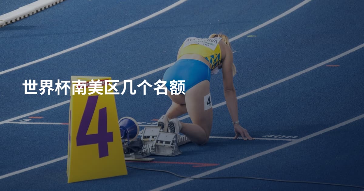 世界杯南美区几个名额