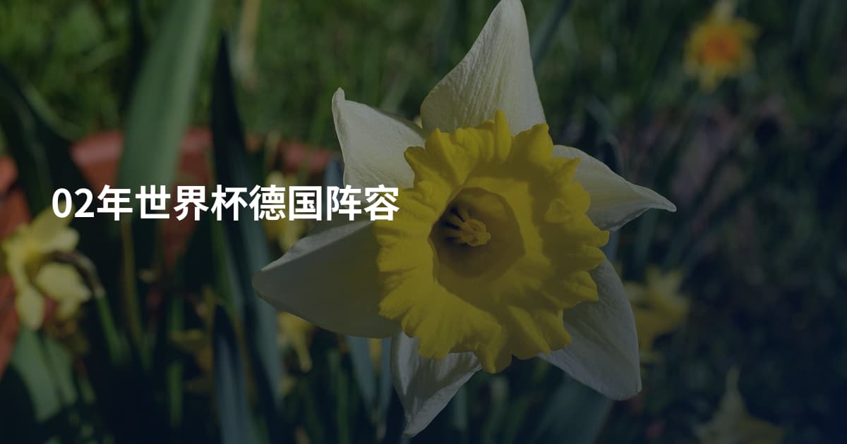02年世界杯德国阵容