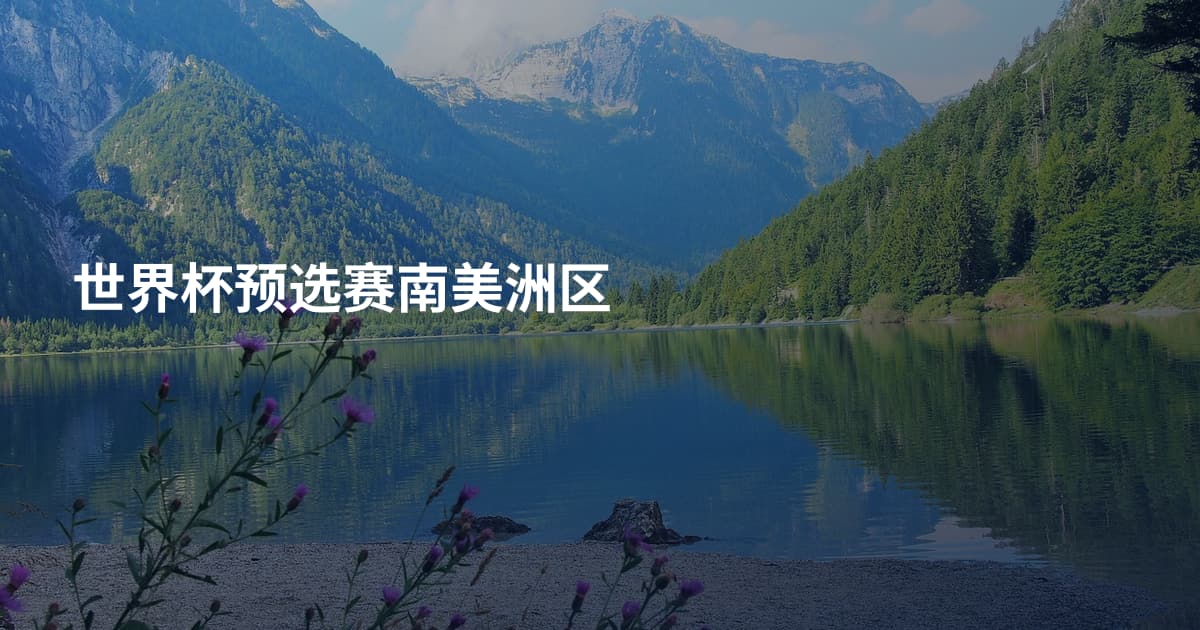世界杯预选赛南美洲区