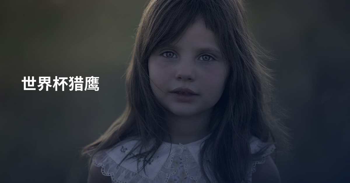 世界杯猎鹰