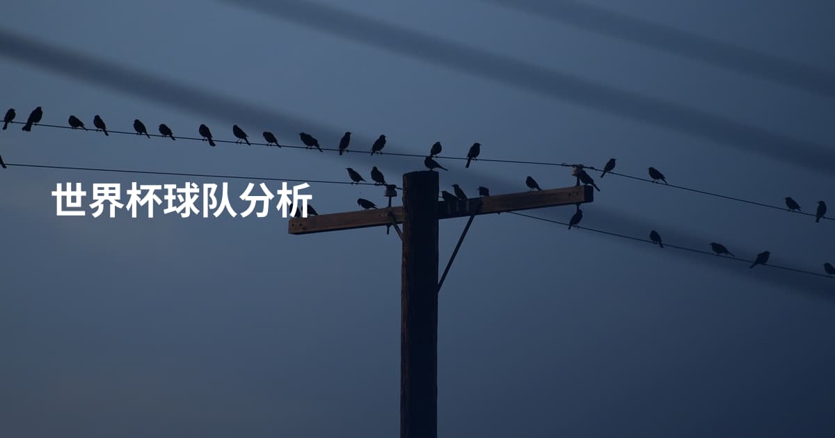 世界杯球队分析