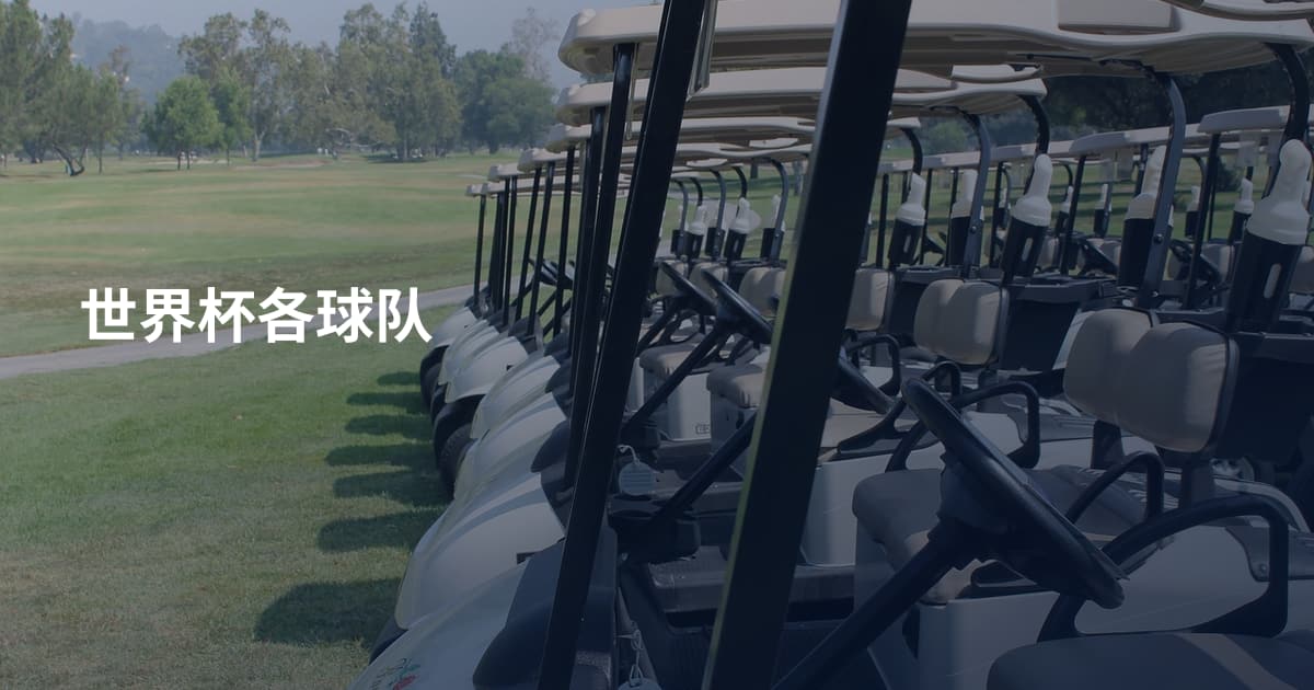 世界杯各球队
