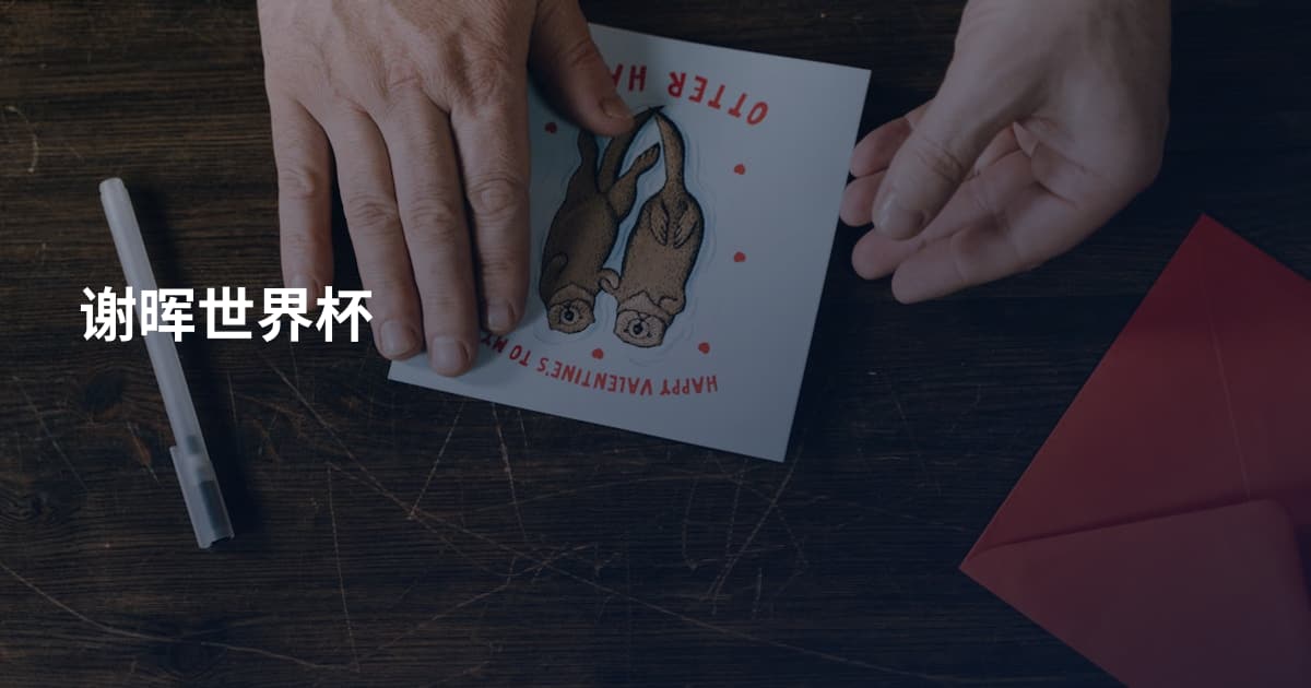 谢晖世界杯