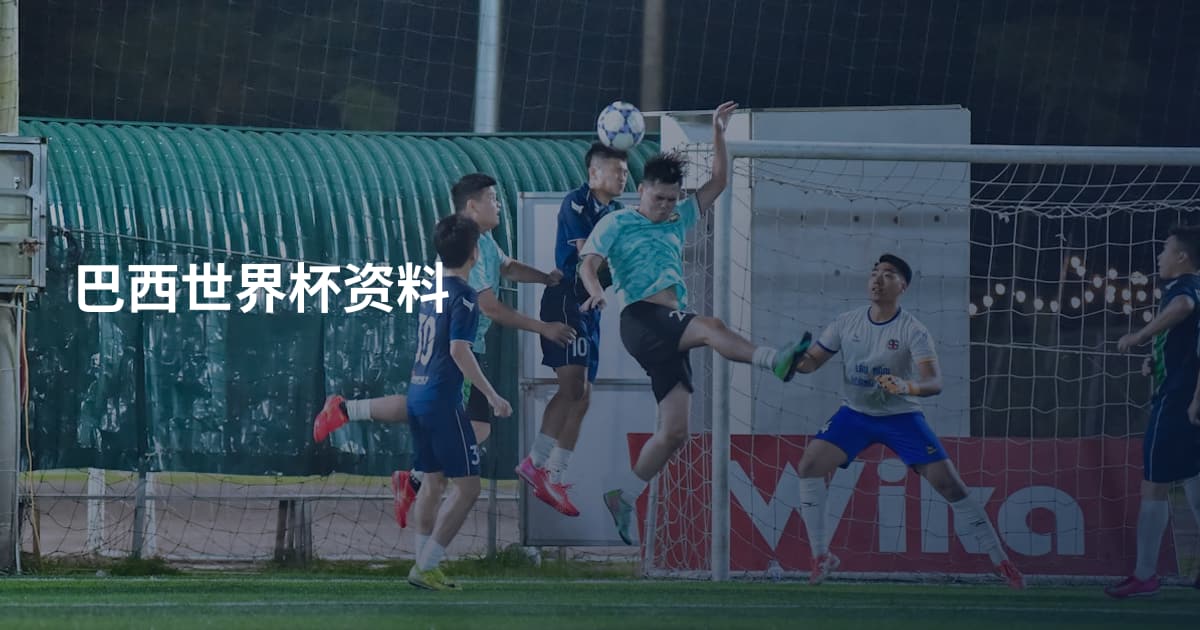 巴西世界杯资料