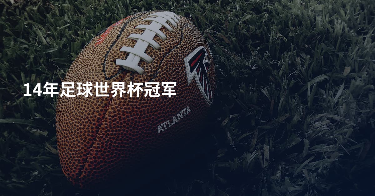 14年足球世界杯冠军