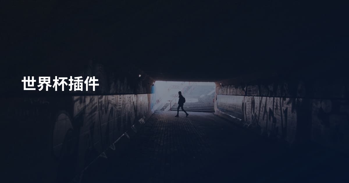 世界杯插件