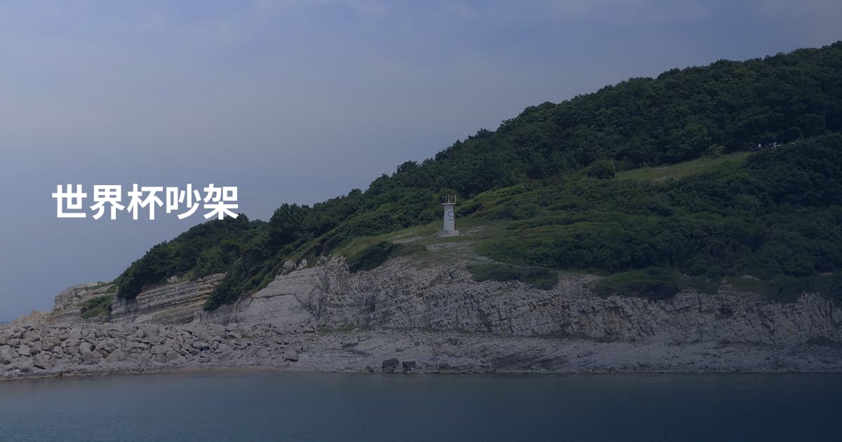 世界杯吵架