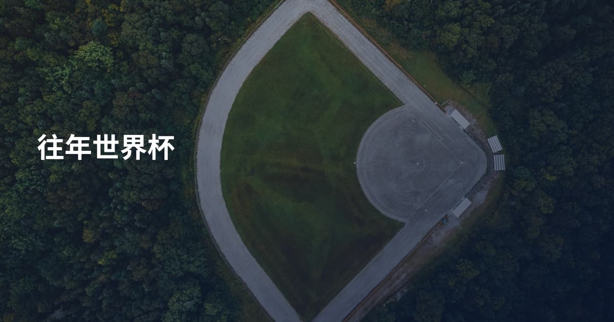 往年世界杯
