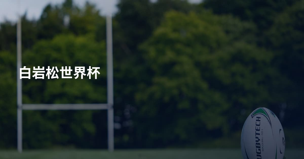 白岩松世界杯