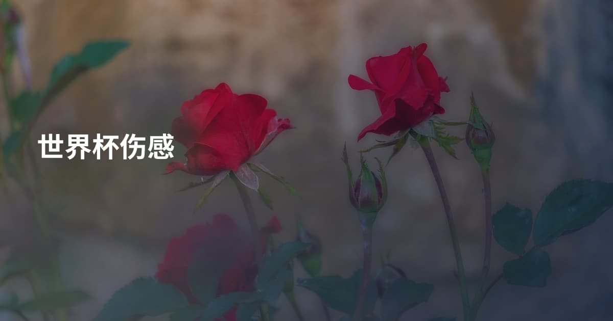 世界杯伤感