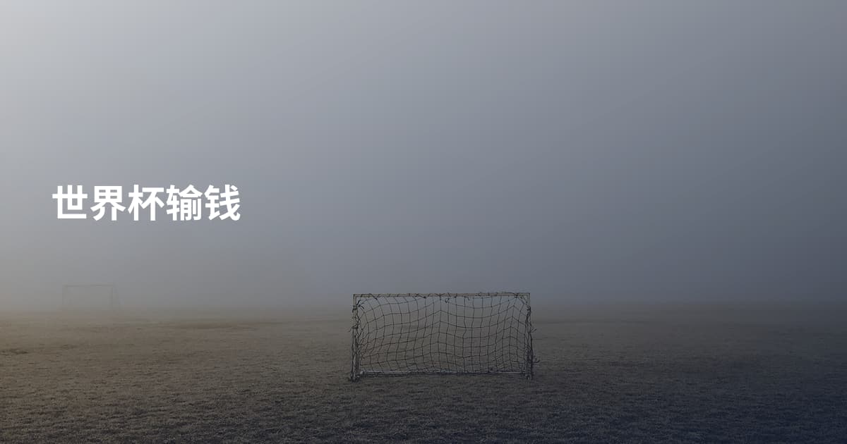 世界杯输钱