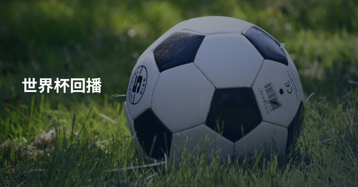 世界杯回播