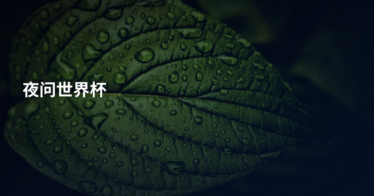 夜问世界杯