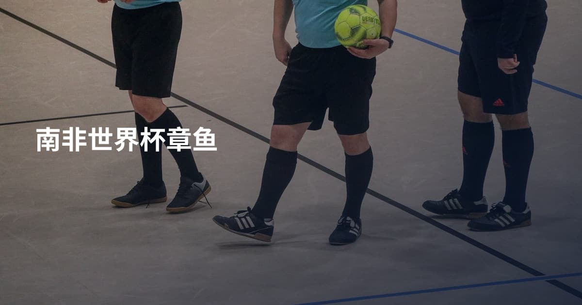 南非世界杯章鱼