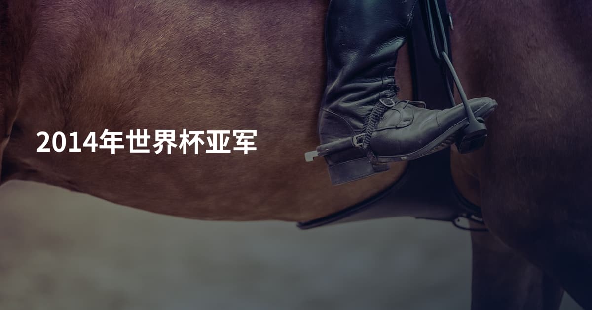 2014年世界杯亚军