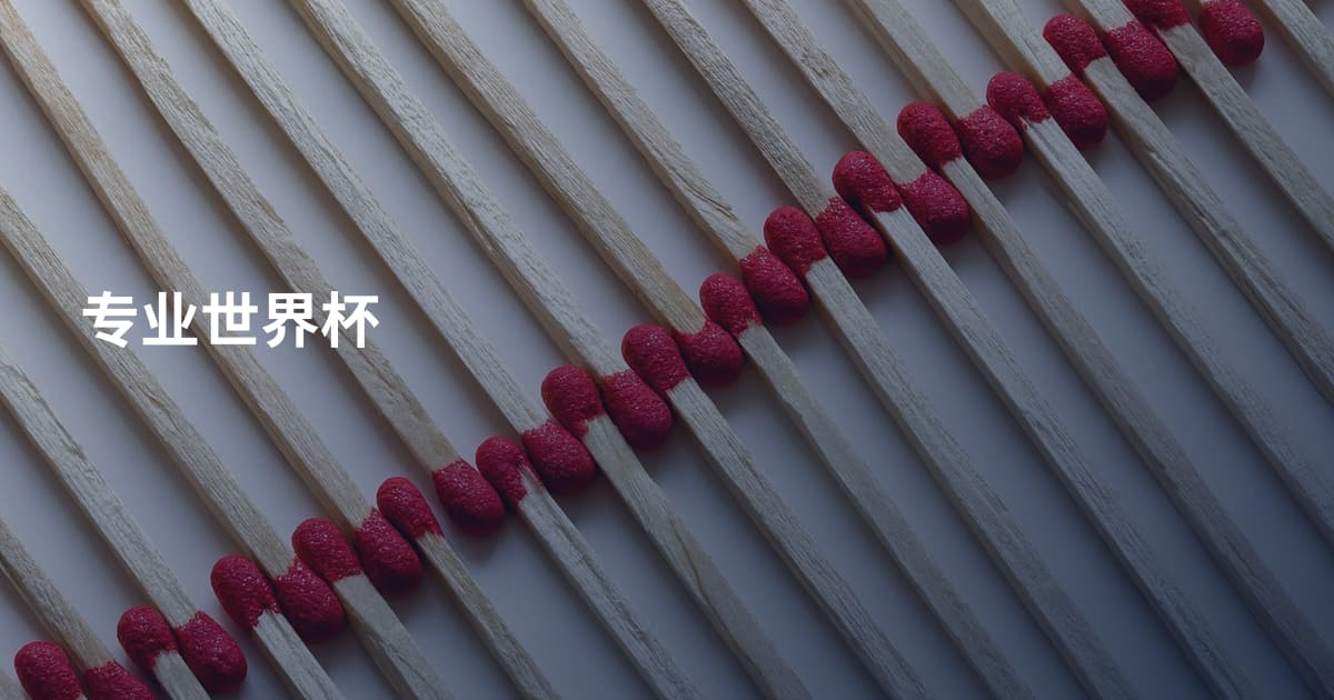 专业世界杯
