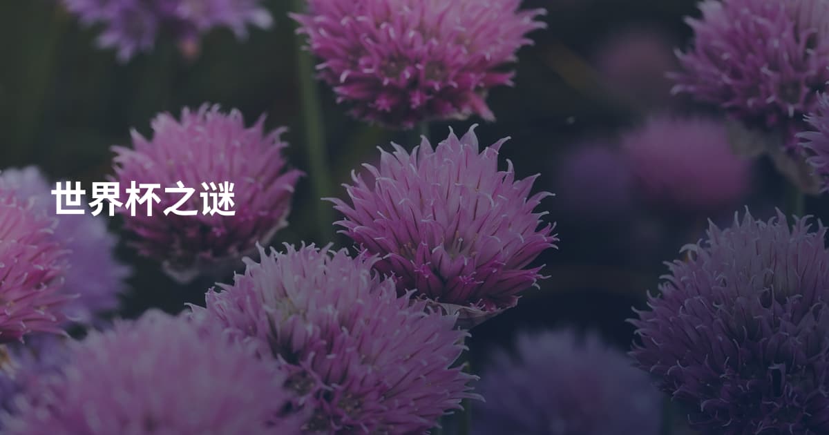 世界杯之谜