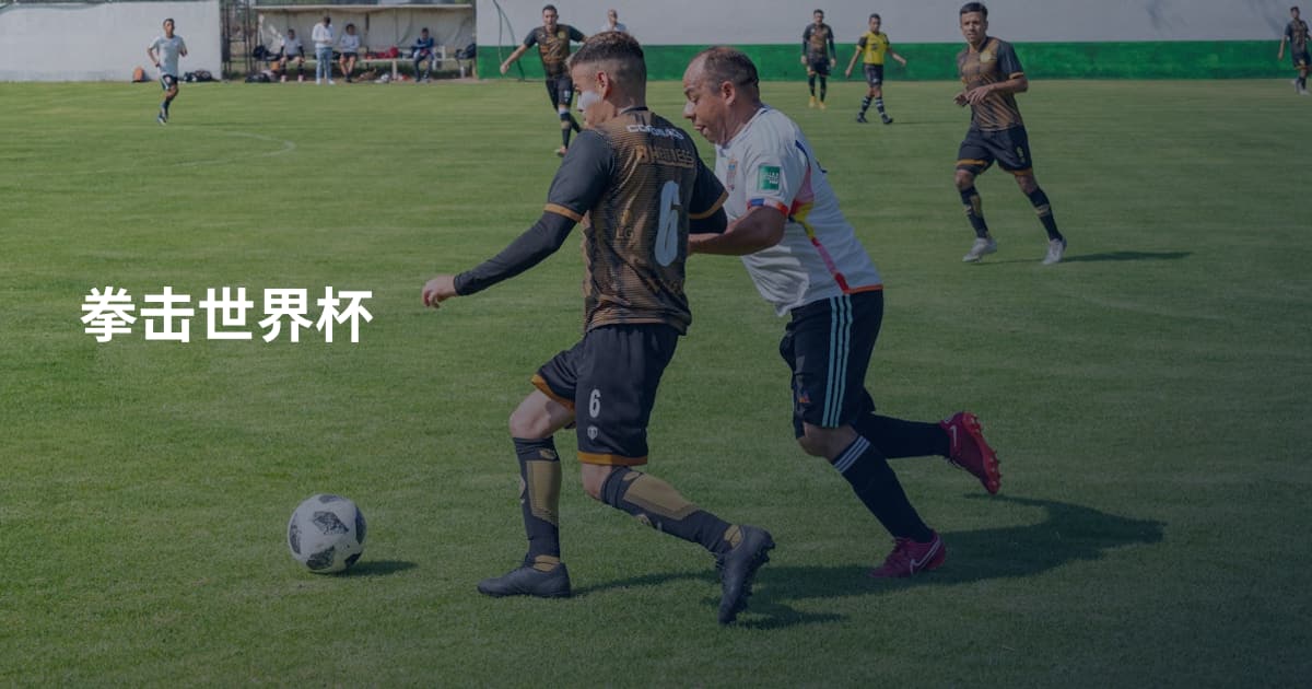 拳击世界杯