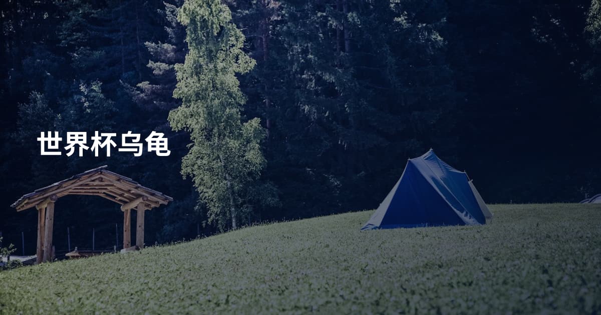 世界杯乌龟