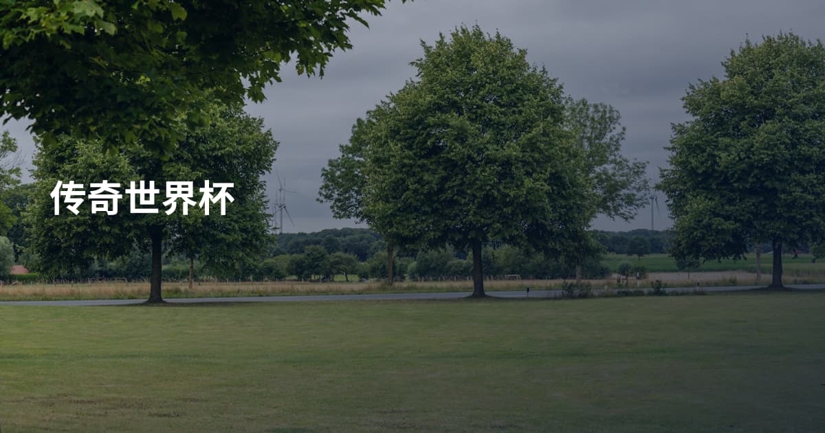 传奇世界杯