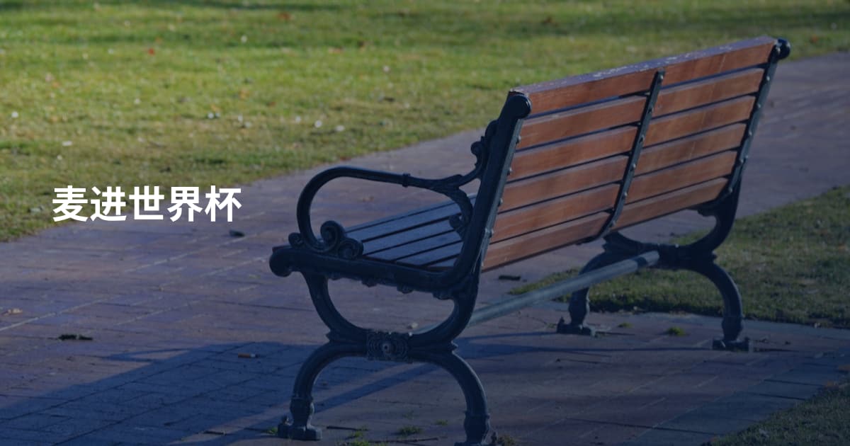 麦进世界杯