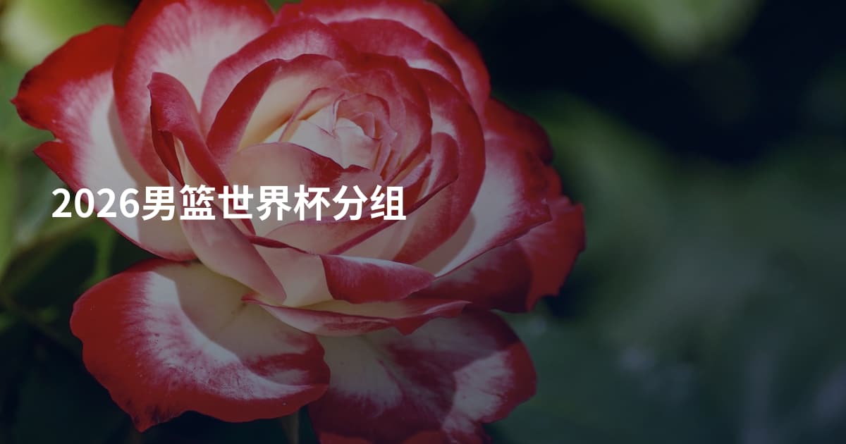 2026男篮世界杯分组