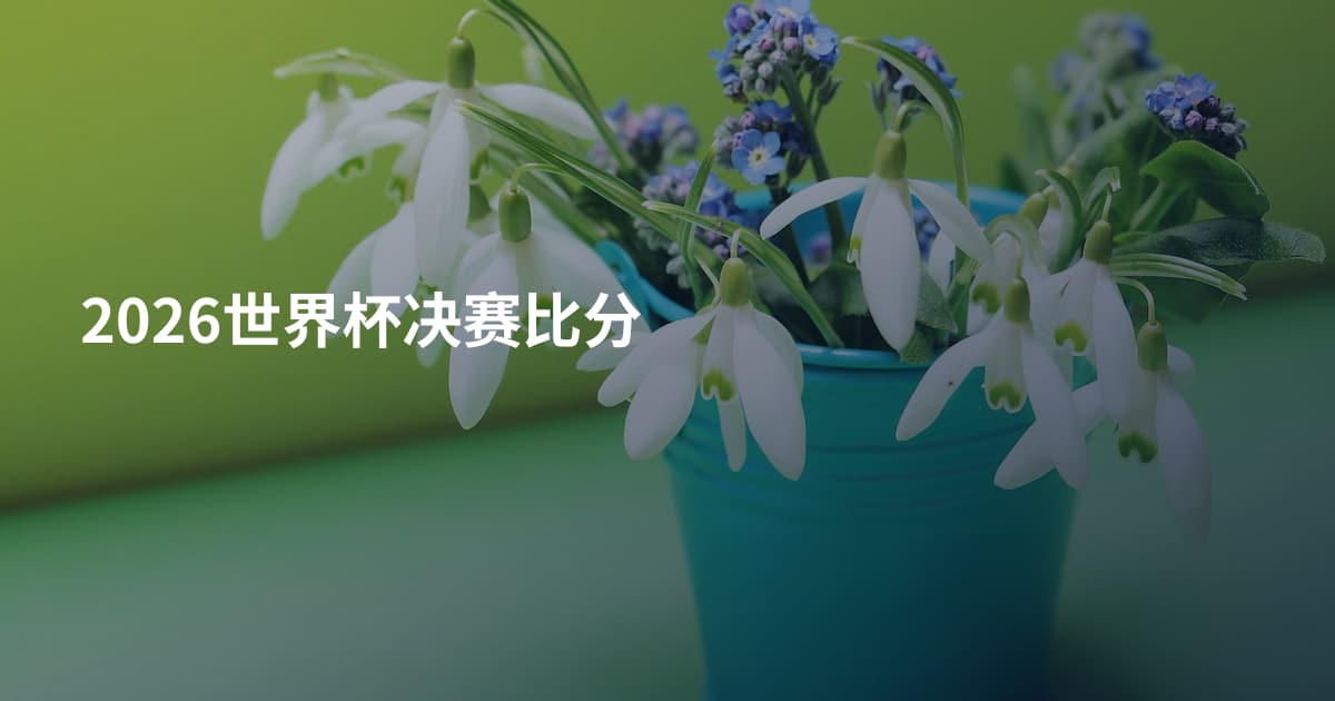 2026世界杯决赛比分