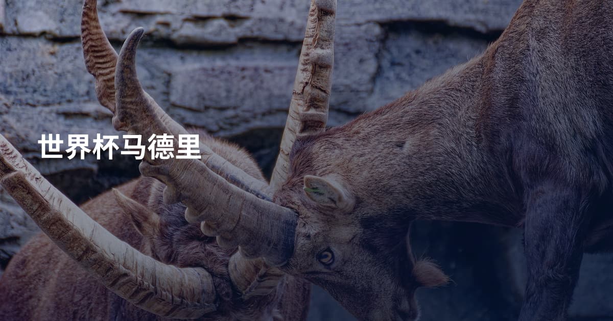 世界杯马德里